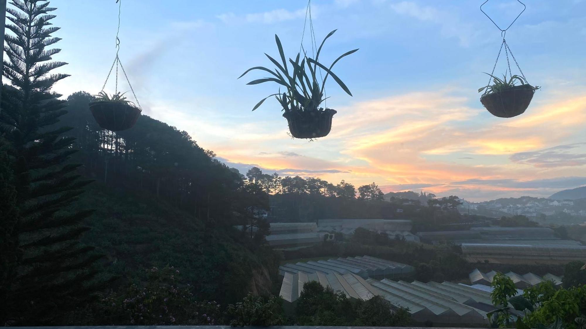 Mala Home & Coffee Da Lat Esterno foto